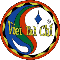 Viet Tai Chi Italia