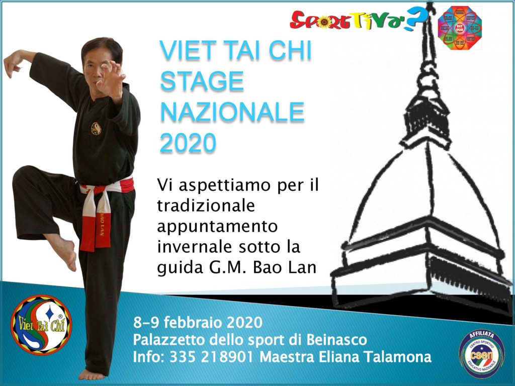 Stage di Viet Tai Chi, Torino 2020