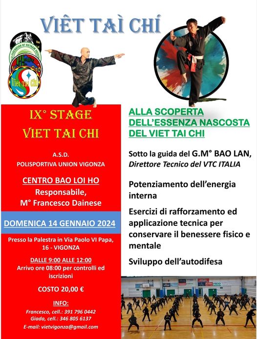 Volantino Stage Energia Interna Viet Tai Chi 2024