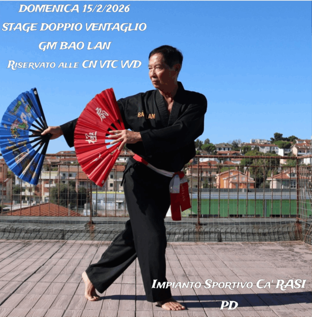 Stage doppio ventaglio